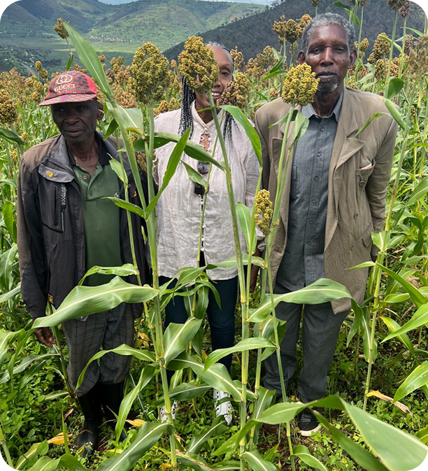 whatsapp image 2025 11 14 at 11.30.05 9d854ab5 1